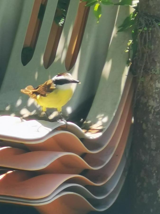 Pousada Bahia Rosaプライア・ド・ローザ エクステリア 写真